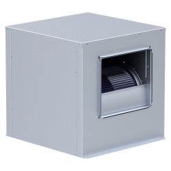 DD BOX