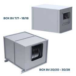 BD BOX