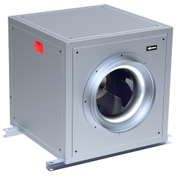 VORT QBK NURI F400